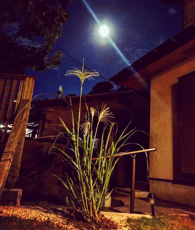 Fotografie z fotogalerie ubytování Guest House Kamakura Zen-ji v destinaci Kamakura