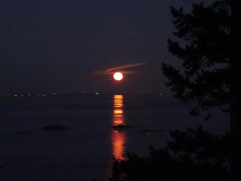a full moon rising over the water at night at Gibralter Rock Ocean View B&B in Nanaimo