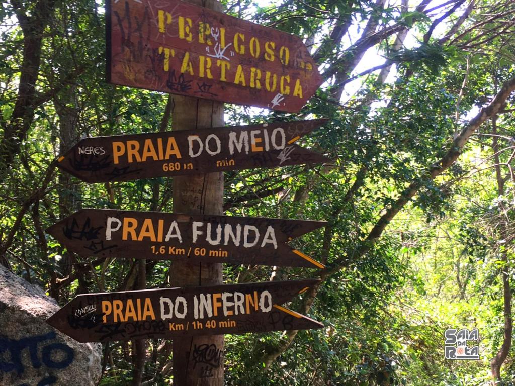  Floresta Acústica
