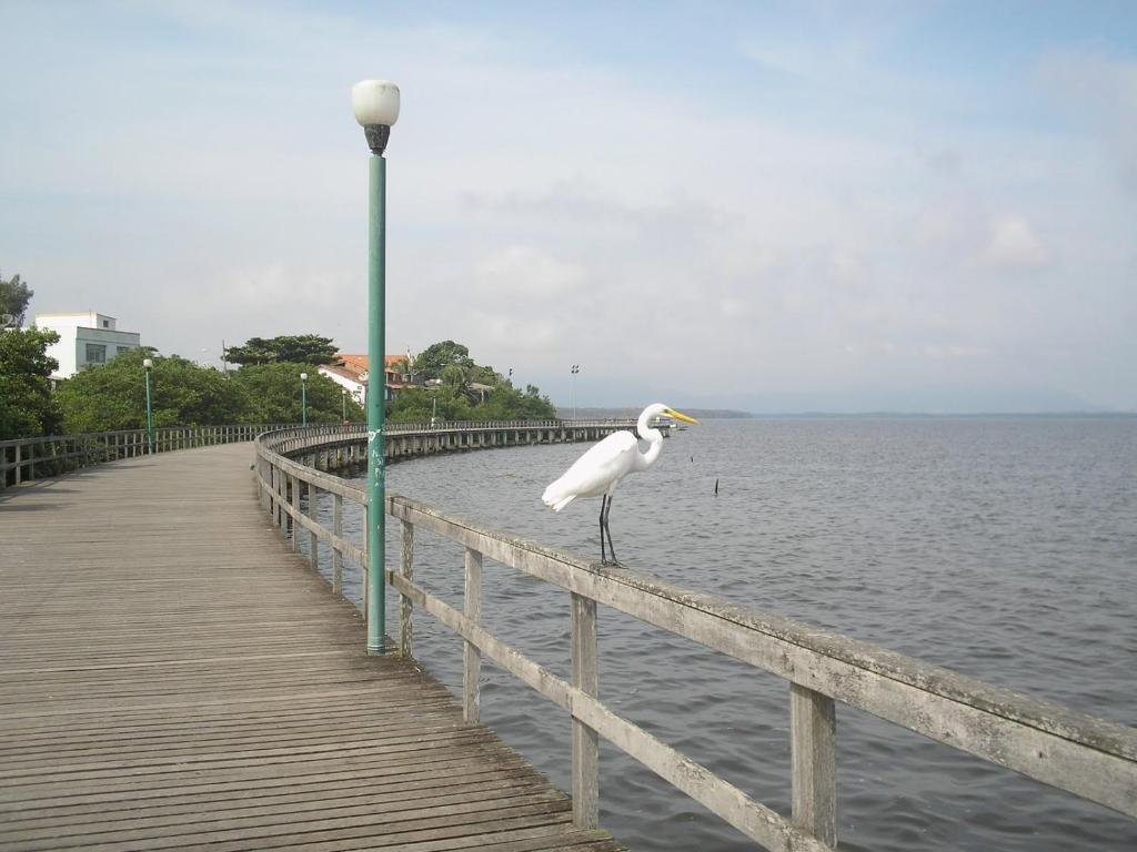  Floresta Acústica