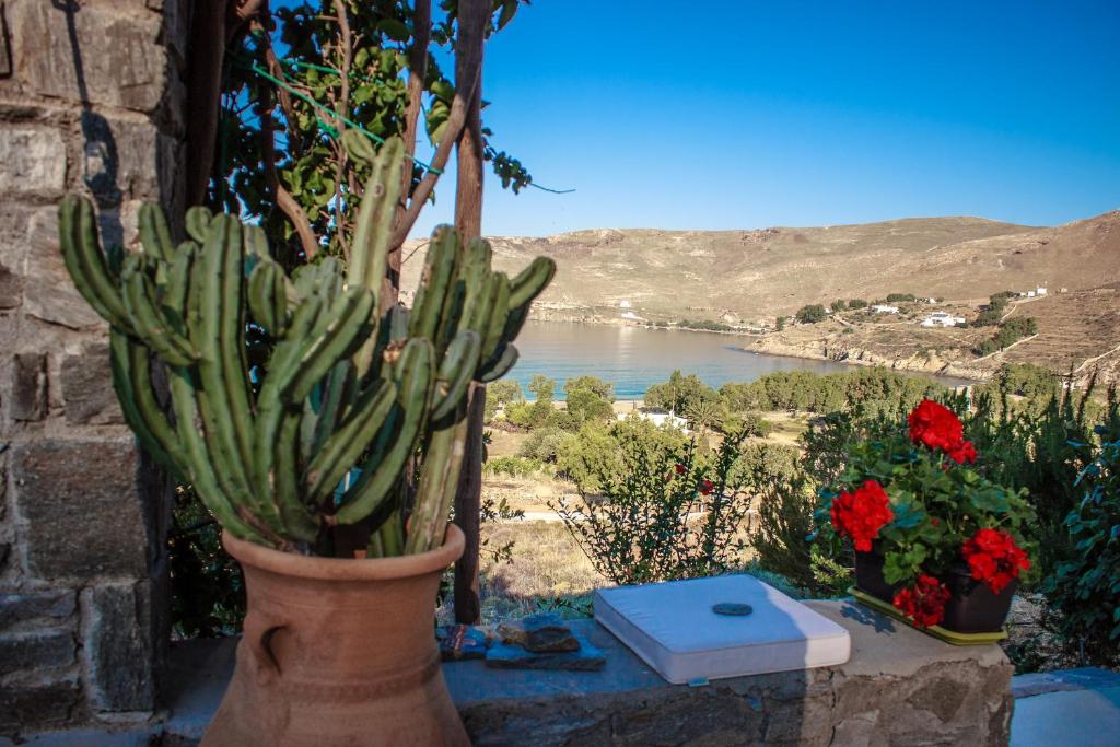 a cactus in a pot with a view of a lake at Serifos Dream Houses near the sea in Ganema