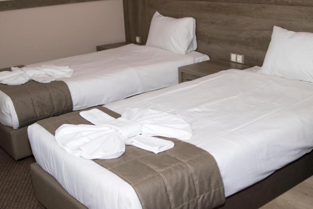 Postel nebo postele na pokoji v ubytování Hotel Etropolia
