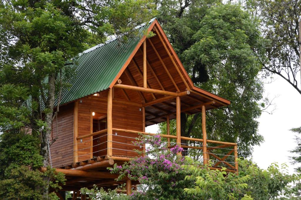 una casa en el árbol con techo verde en Casa na Árvore, en Santa Cruz do Sul