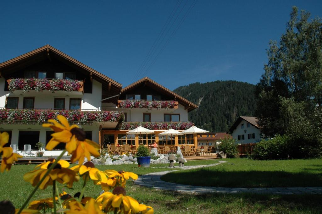 Příroda nedaleko hotelu