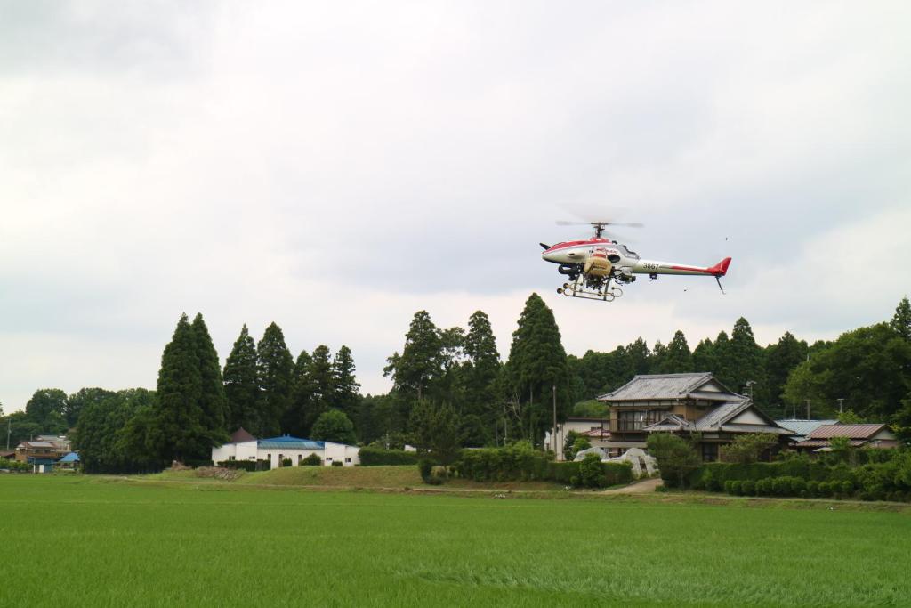 Zahrada ubytování Hotel Otani