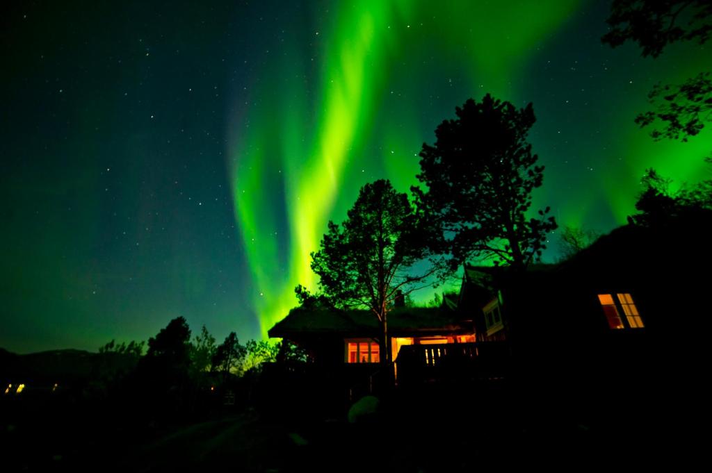 ein Bild der Aurora, die am Himmel tanzt in der Unterkunft Malangen Lodge in Mestervik