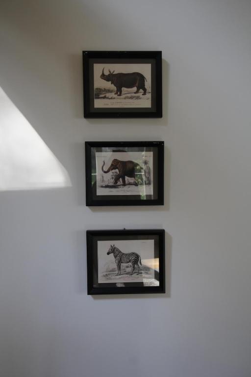 Fotografie z fotogalerie ubytování Casa Terlinden v Bruselu