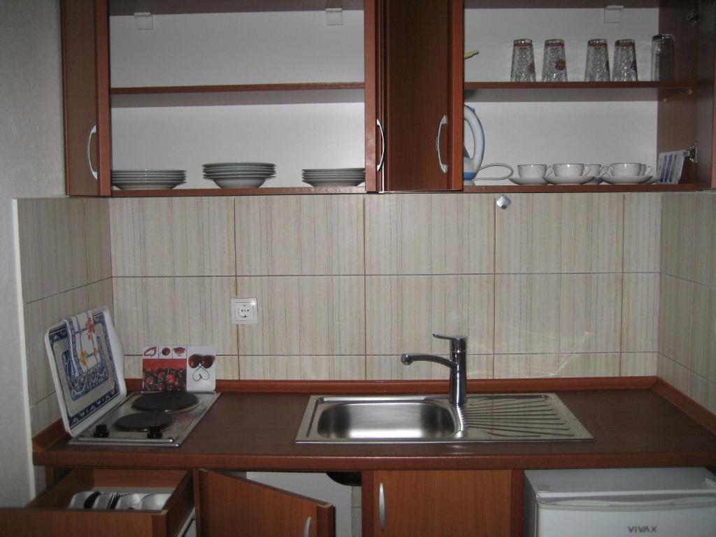 Kuchyň nebo kuchyňský kout v ubytování Guest House Vila Mimoza