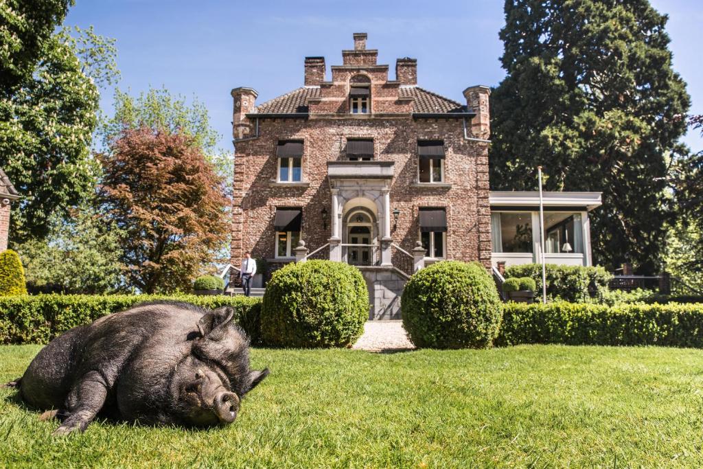 un grand porc pondant dans l'herbe devant une maison dans l'établissement Kasteeltje Hattem, à Ruremonde