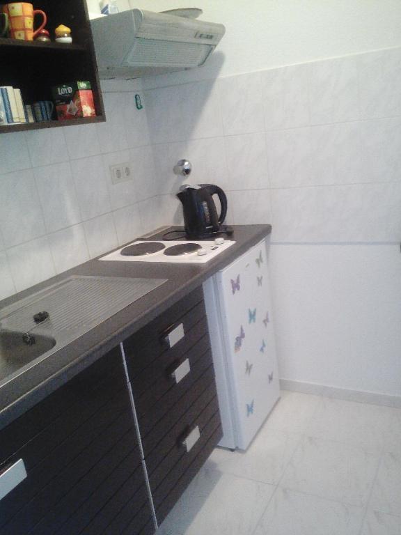 Kuchyň nebo kuchyňský kout v ubytování ApartmányDanielova