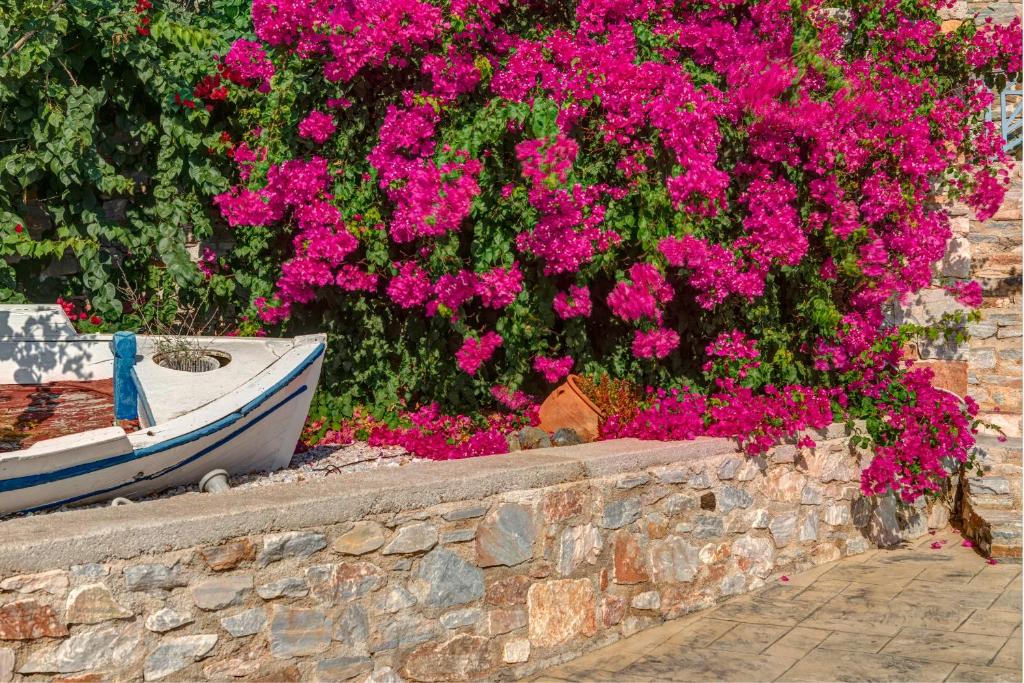 Zahrada ubytování Sunrise Beach Suites