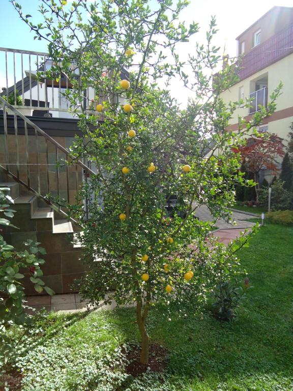 Apartment Spectre - 8