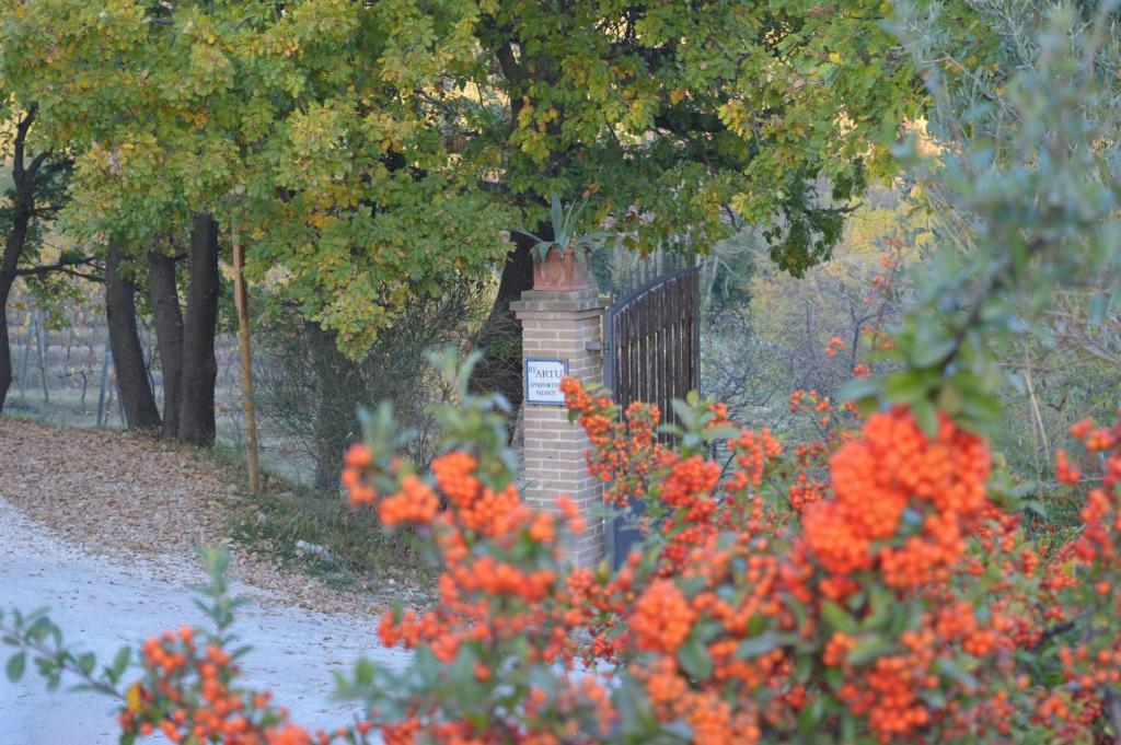 Um jardim em Re Artù Assisi Country Lifestyle