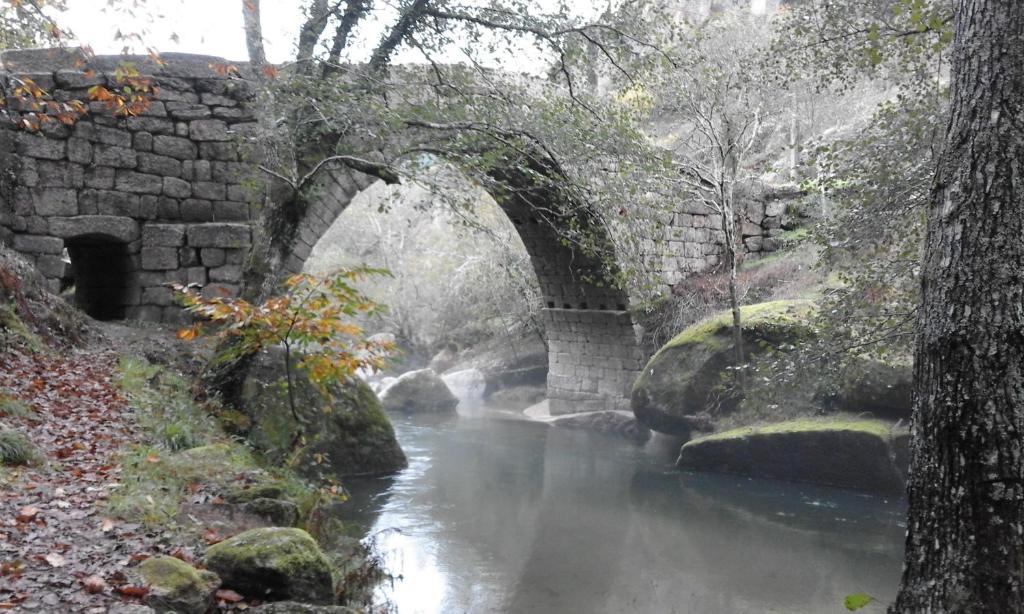 uma ponte de pedra sobre um rio numa floresta em Casa Amarante Porto em Amarante