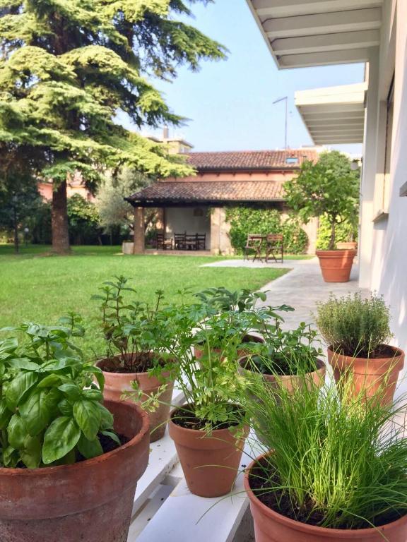Zahrada ubytování Casa Lunia Guesthouse