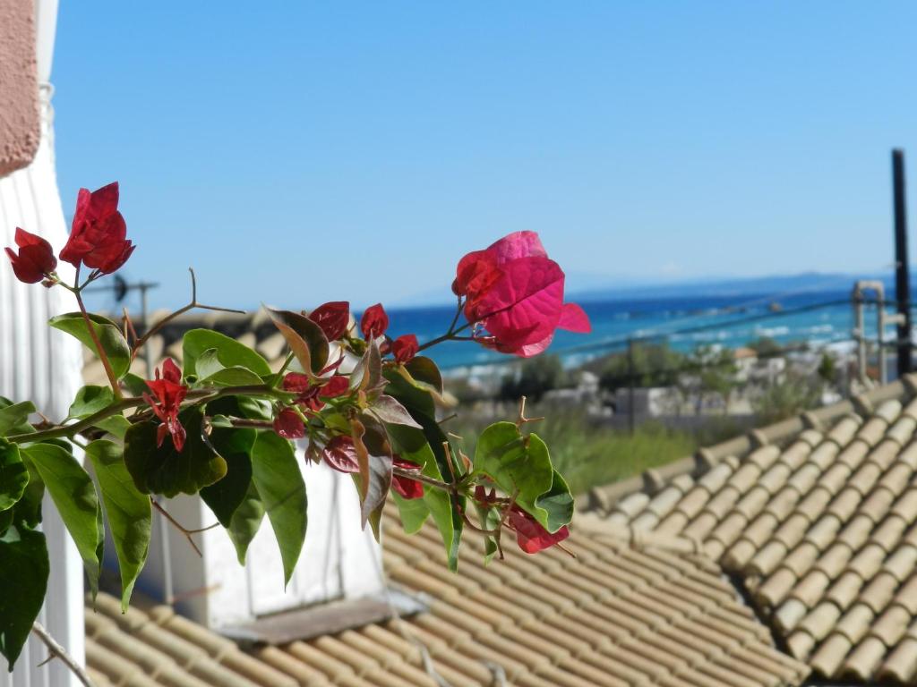 two white vases with red flowers on a roof at Infinity blue beach apartments - Renovated Apartments 2 Minutes from the Sea & Pool with Scenic Views in Tsilivi