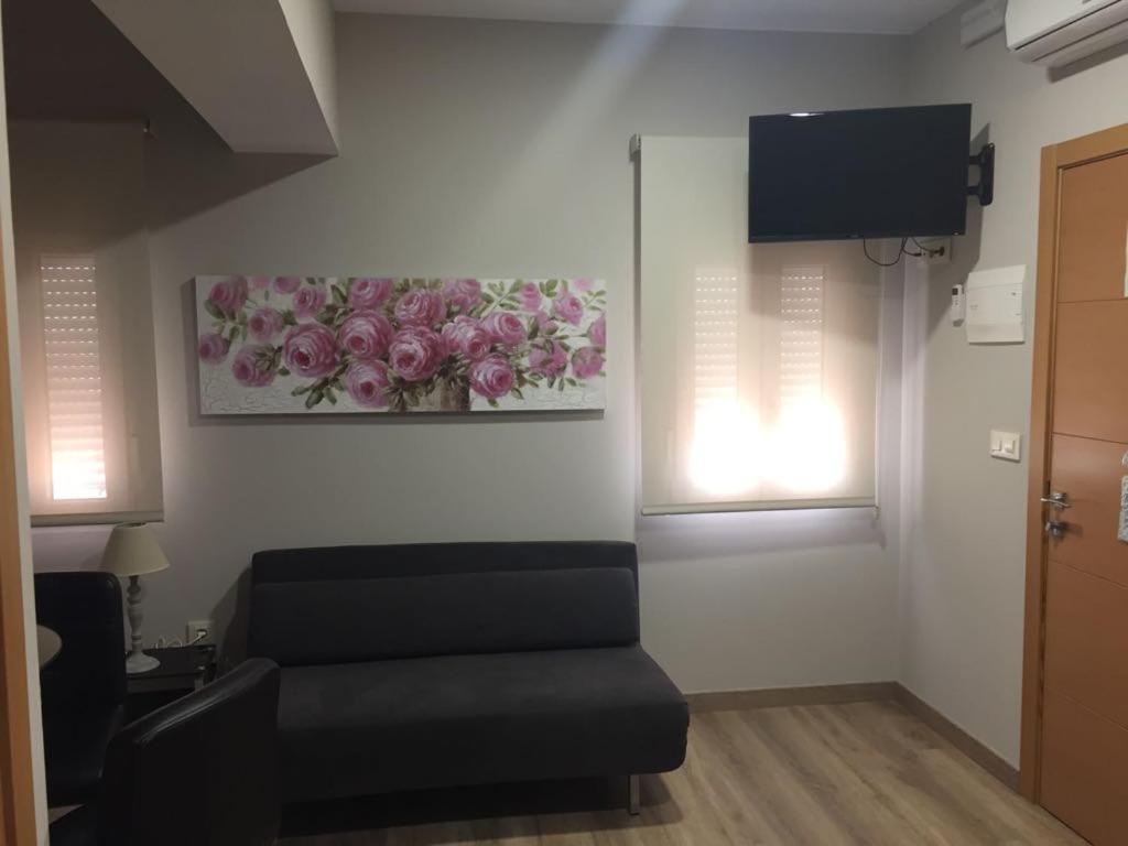 TV a/nebo společenská místnost v ubytování Apartamentos Mitreo