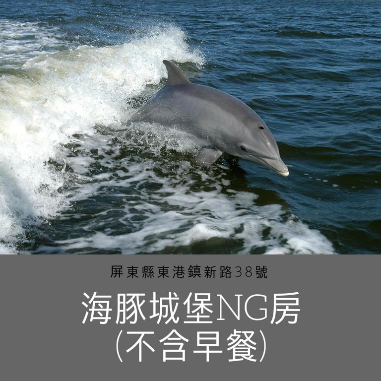 海豚城堡評價、特色體驗、親子友善住宿資訊 – 寬敞親子房與貼心管家服務 - 照片 10