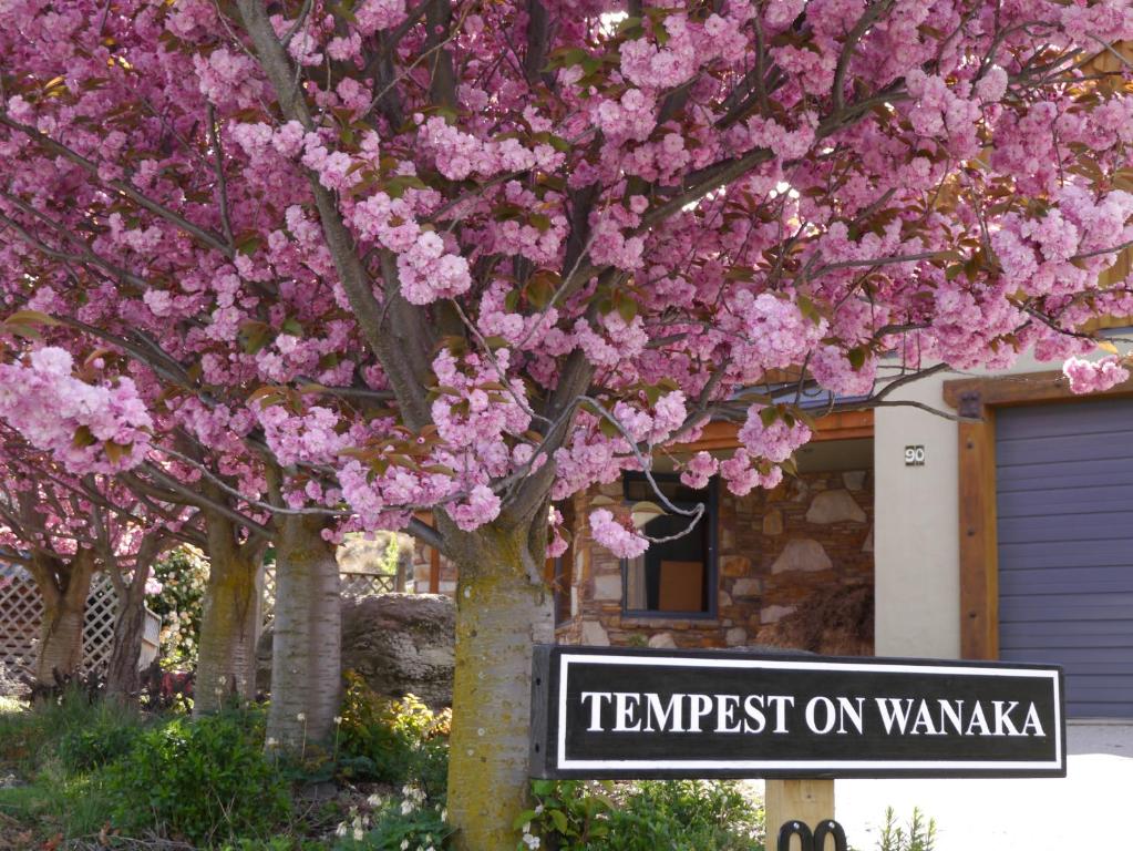Fotografie z fotogalerie ubytování Tempest on Wanaka v destinaci Wanaka