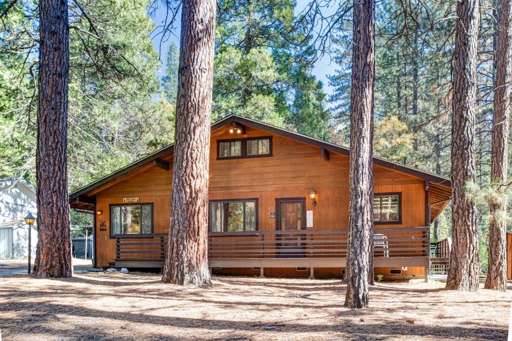 a log cabin in the woods with trees at 42A Steven's Retreat in North Wawona