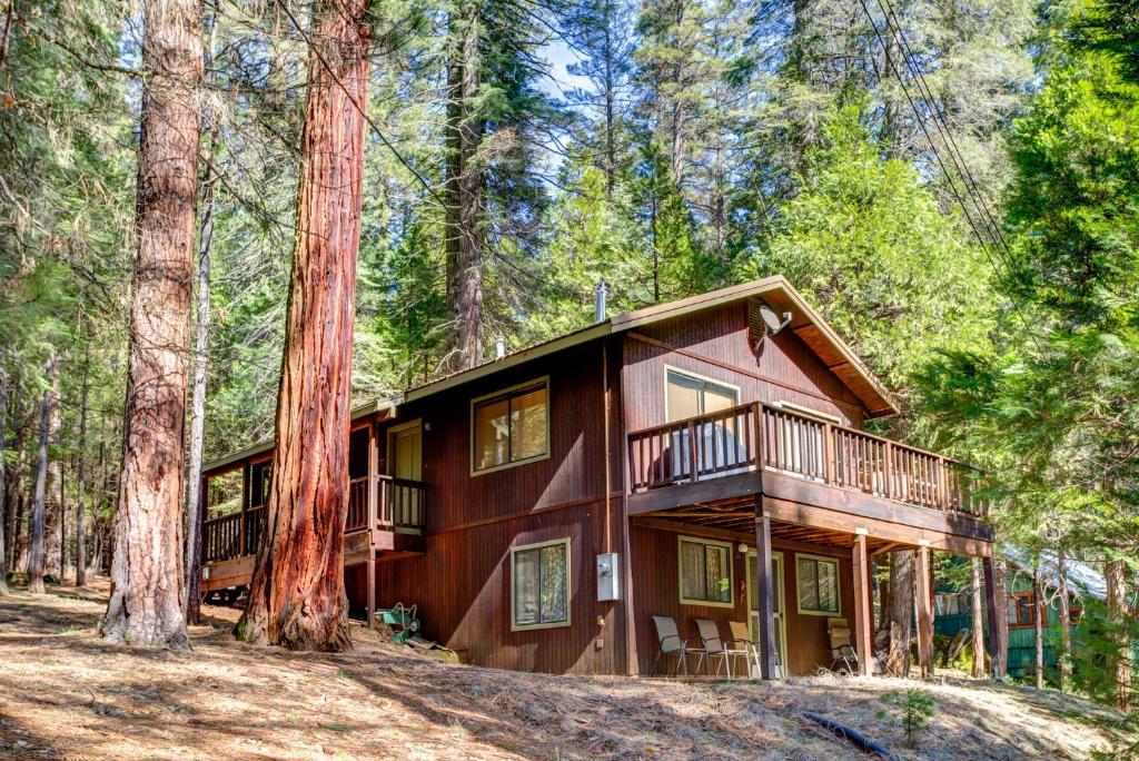 a log cabin in the woods with trees at 1S Cecils Cabin in South Wawona