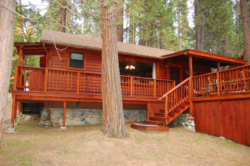 a cabin in the woods with a tree at 8 Nugents Nest in North Wawona