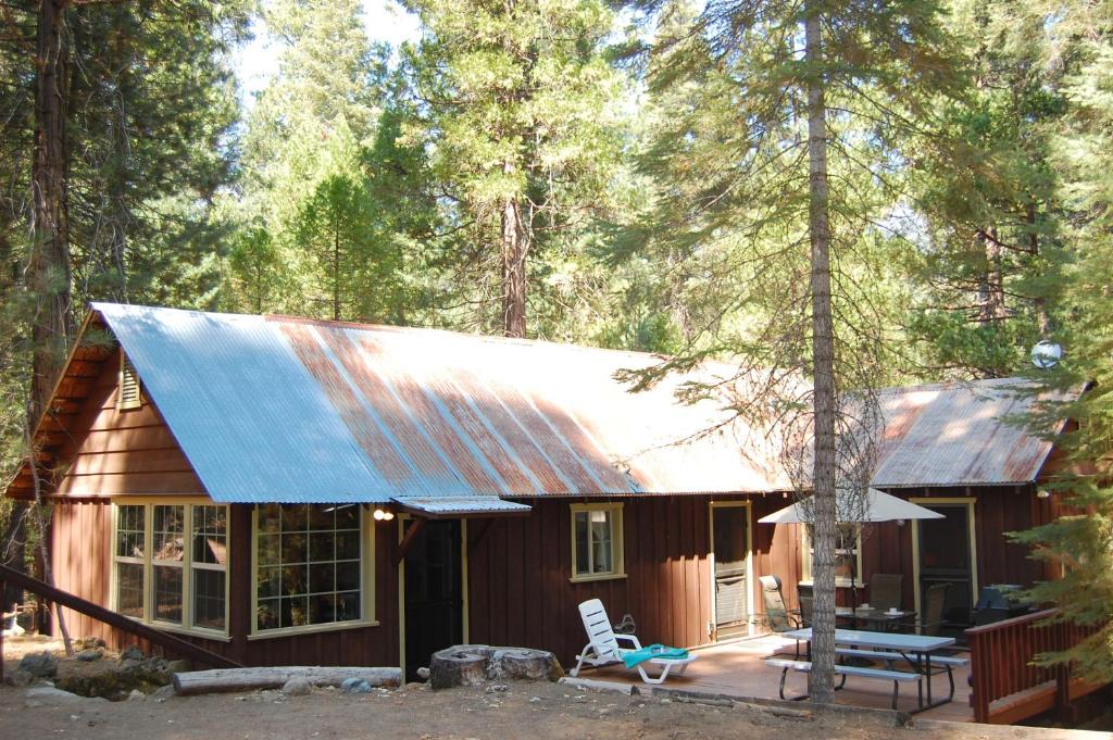 a cabin in the woods with a metal roof at 6S Fretzs Den in South Wawona