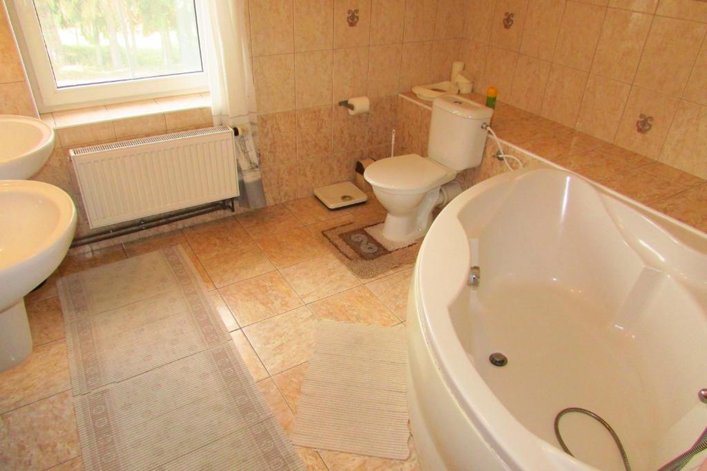 a bathroom with a tub and a toilet and a sink at Villa Vranov 55 in Čerčany