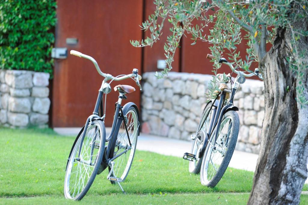 Kerékpározás Vivere Suites & Rooms környékén