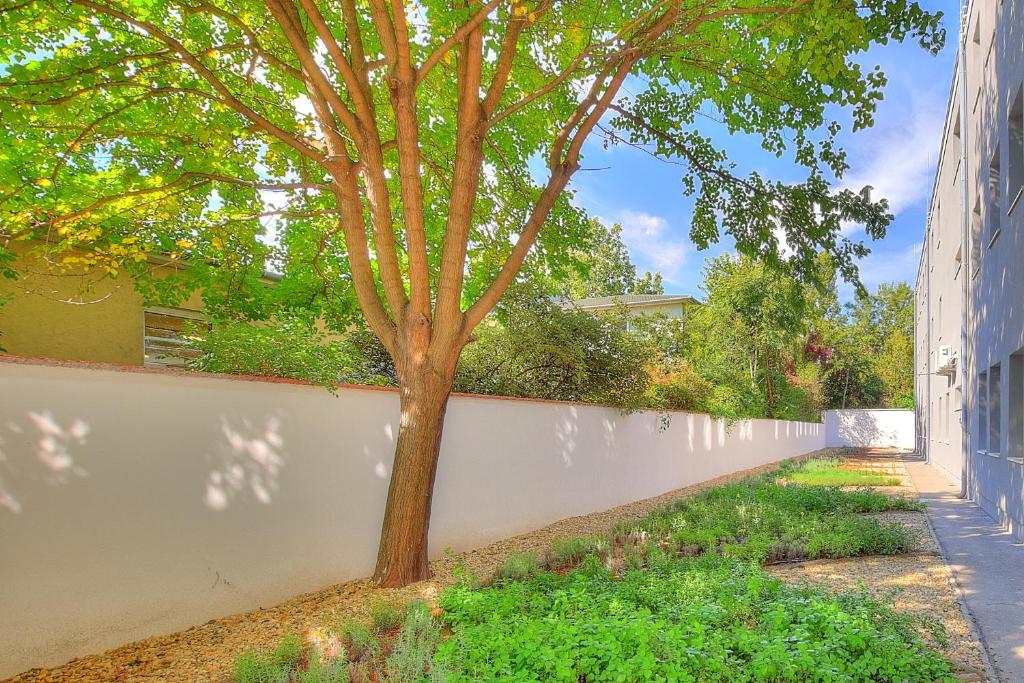 Anna Hotel - Resim 22