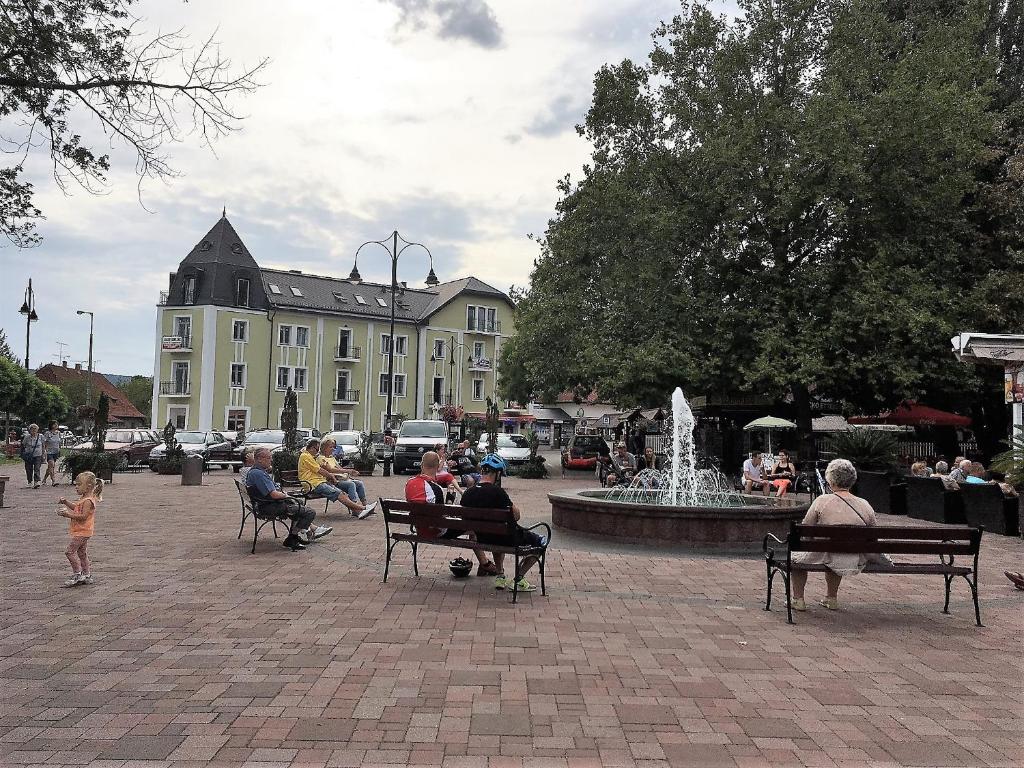 Zdjęcie z galerii obiektu Tulipán Apartman w mieście Balatonalmádi