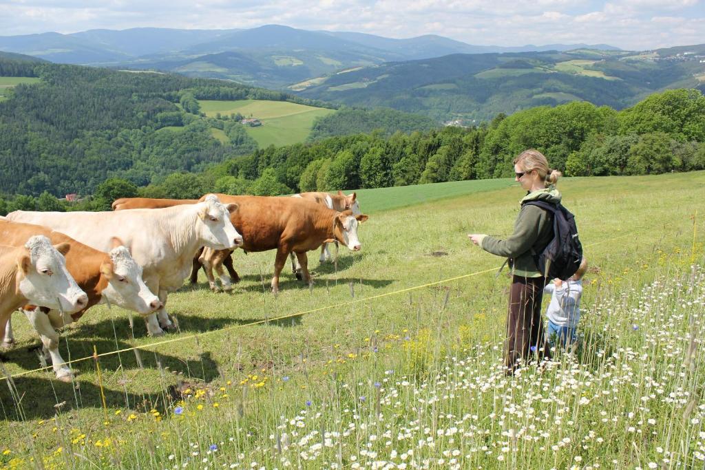 Zvířata v farmy nebo okolí