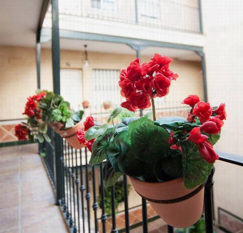 eine Reihe Topfpflanzen auf einem Balkon in der Unterkunft HSH Suites Corrala Triana in Sevilla