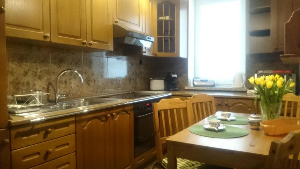 Kuchyňa alebo kuchynka v ubytovaní Apartament Mieszka