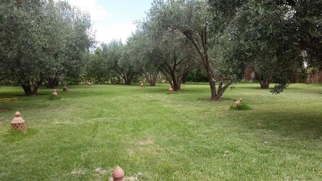 Zahrada ubytování Riad Sidi Hicham