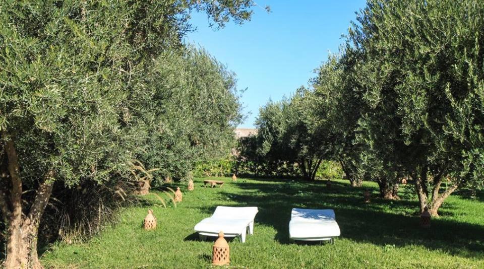 Zahrada ubytování Riad Sidi Hicham