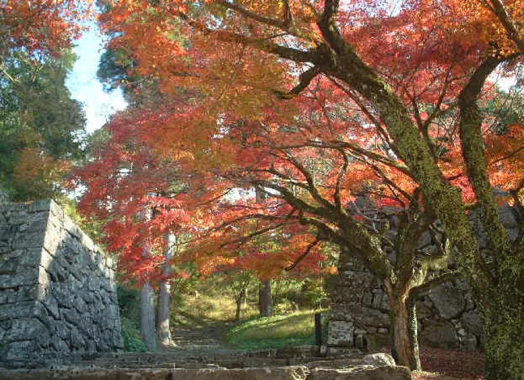 Zahrada ubytování Hotel Sun Hitoyoshi