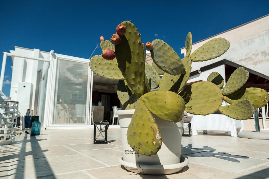 Fotografie z fotogalerie ubytování Casa Manfredi - Manfredi Homes&Villas v destinaci Manfredonia