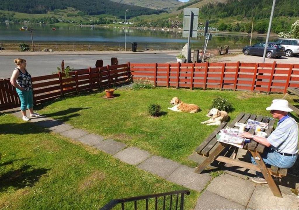 un hombre sentado en una mesa de picnic con dos perros en Armadale Cottage, en Lochgoilhead