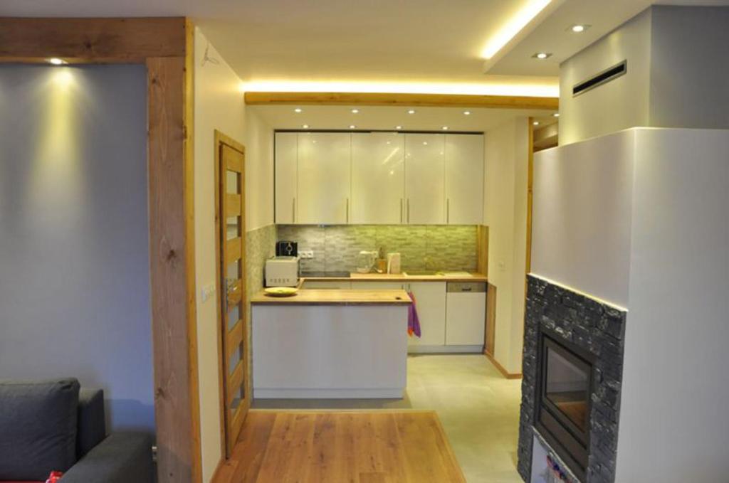 Kuchyňa alebo kuchynka v ubytovaní Apartament Stalowy Kościelisko Sywarne