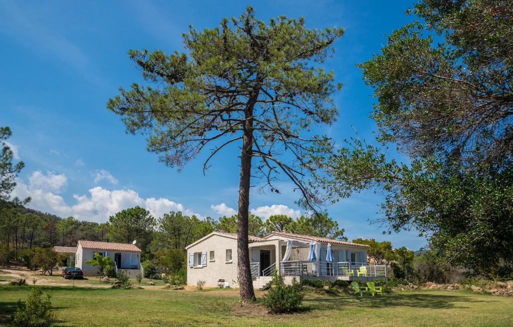 Příroda nedaleko apartmánu