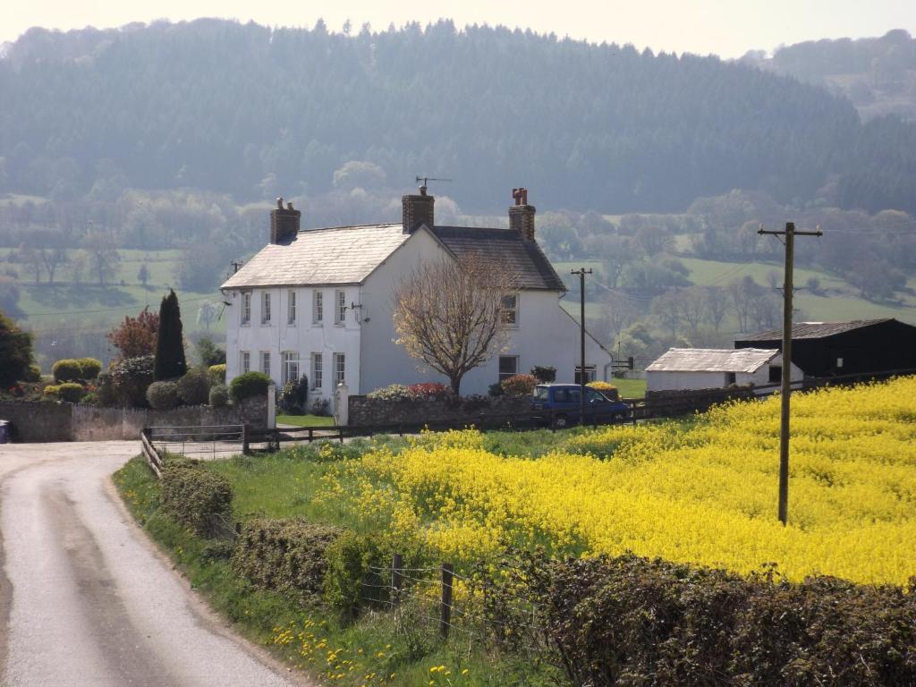 een wit huis aan de kant van een weg bij Hardwick Farm in Abergavenny