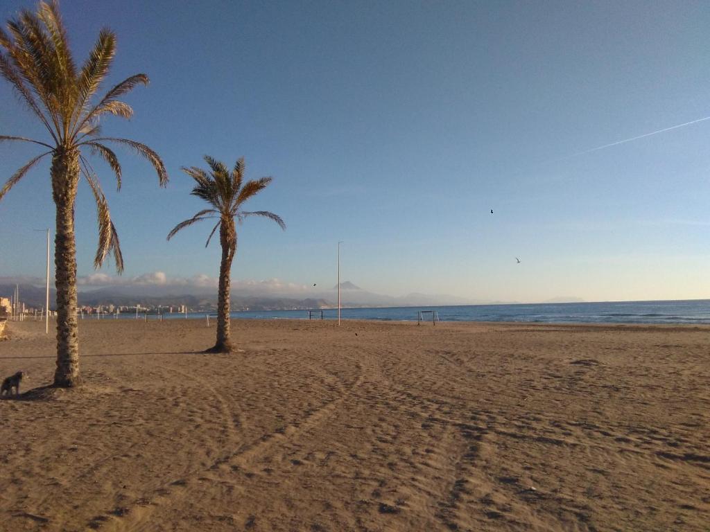Urbanización Al Andalus, El Campello – Updated 2023 Prices