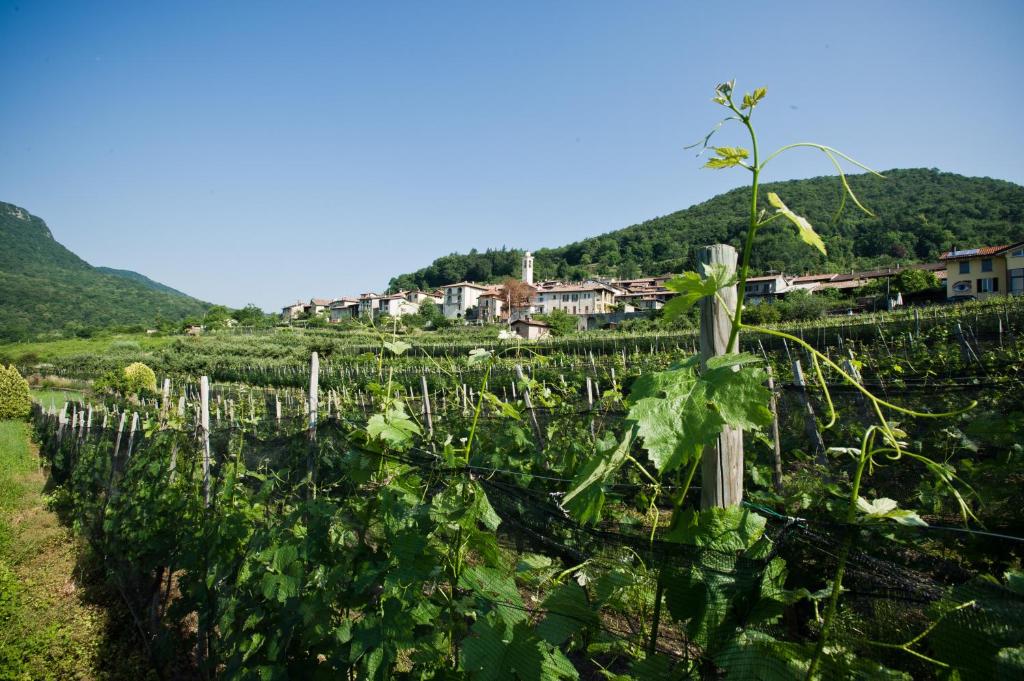 Nespecifikovaný výhled na hory nebo výhled na hory při pohledu z bed and breakfast
