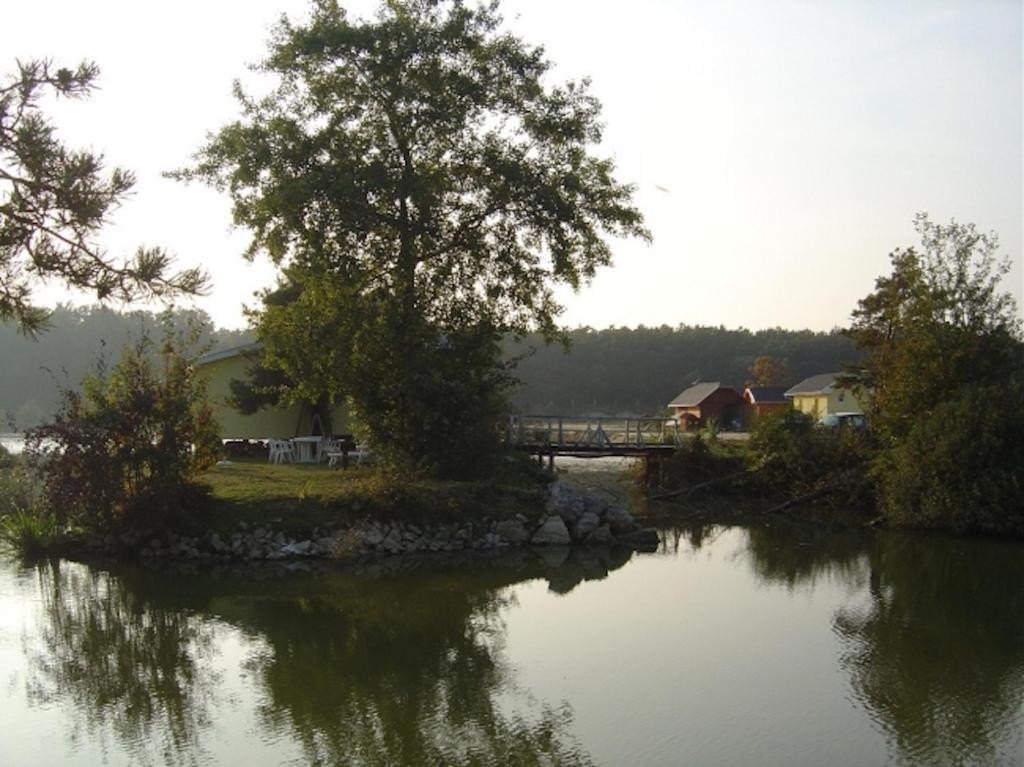 Příroda nedaleko apartmánu