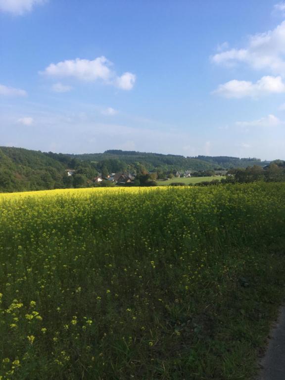 Ferienhaus Vulkaneifel Bei Hepp - Two-Bedroom House