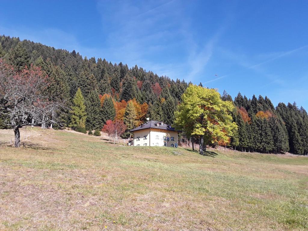 a house on a hill in the middle of a field at Chalet Musiera in Telve