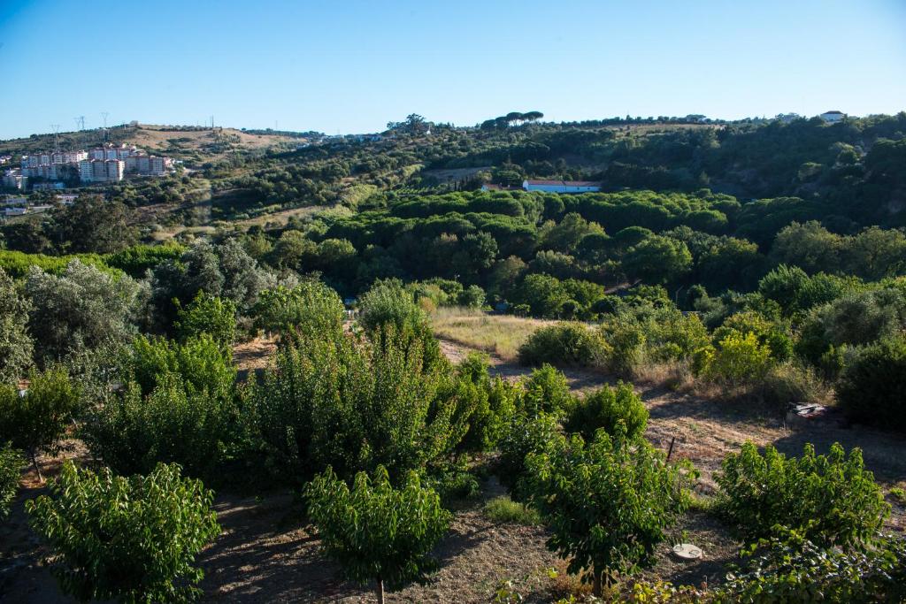 uma vista do topo de uma colina com árvores em Quinta Montebelo em Vila Franca de Xira