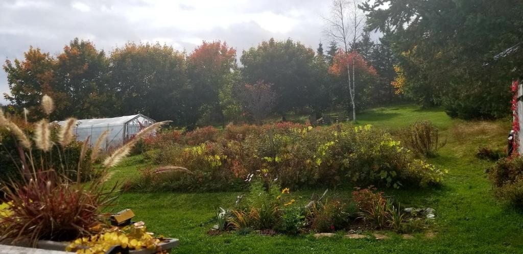 Garður fyrir utan Gîte Aux Jardins De L'Anse