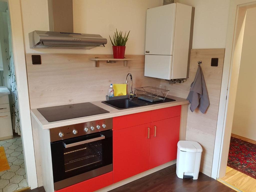 a small kitchen with red cabinets and a sink at Garden Apartment Donau-City (P&R) in Vienna